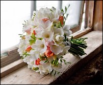 www.floristic.ru - Флористика. Помогите!!!!!