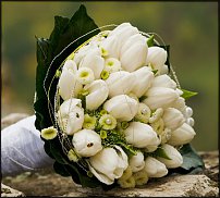 www.floristic.ru - Флористика. Помогите!!!!!