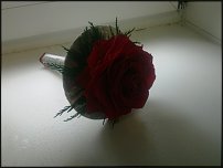 www.floristic.ru - . 