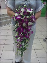 www.floristic.ru - .  .