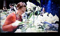 www.floristic.ru - . 17-     2011 .