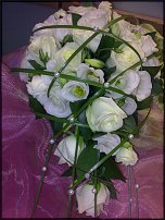 www.floristic.ru - .  .