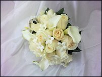 www.floristic.ru - .  .