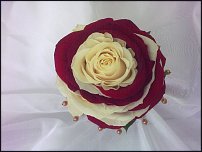 www.floristic.ru - .  .
