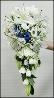 www.floristic.ru - .  .