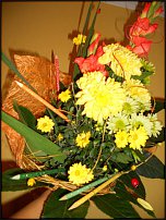 www.floristic.ru - .   1 