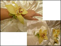 www.floristic.ru - . !!!!!