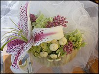 www.floristic.ru - .  - 2011