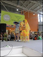 www.floristic.ru - .  -2011  -