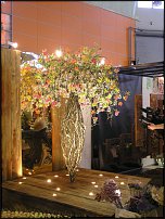 www.floristic.ru - . "Russian Cup" -      2011.