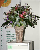 www.floristic.ru - . "Russian Cup" -      2011.