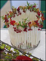 www.floristic.ru - . "Russian Cup" -      2011.