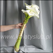 www.floristic.ru - . !!!!!