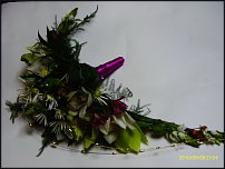 www.floristic.ru - .  