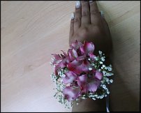 www.floristic.ru - .  .