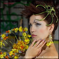 www.floristic.ru - .  .