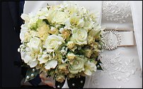 www.floristic.ru - .  .