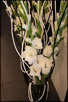 www.floristic.ru - .  .