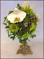 www.floristic.ru - .  - 