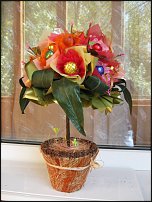 www.floristic.ru - .     -,  ..