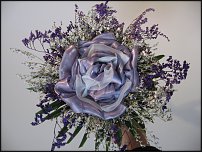 www.floristic.ru - .     .