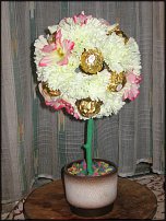 www.floristic.ru - .     -,  ..