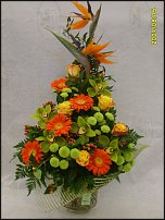 www.floristic.ru - .  