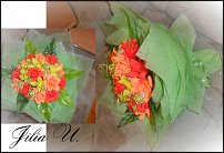 www.floristic.ru - .     -,  ..