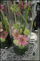 www.floristic.ru - .       - ?