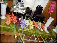 www.floristic.ru - . 