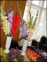 www.floristic.ru - . 