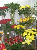 www.floristic.ru - .       - ?