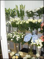 www.floristic.ru - .       - ?