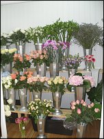 www.floristic.ru - .       - ?