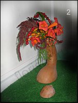 www.floristic.ru - .  - 2011