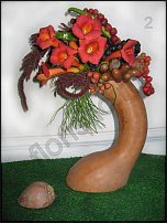 www.floristic.ru - .  - 2011