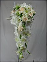 www.floristic.ru - .  