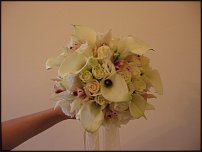 www.floristic.ru - . 