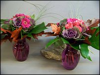 www.floristic.ru - .       - ?