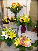 www.floristic.ru - .       - ?