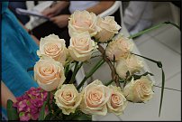 www.floristic.ru - .   