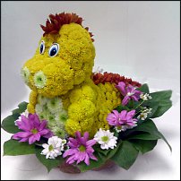 www.floristic.ru - .   , 