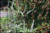 www.floristic.ru - .   