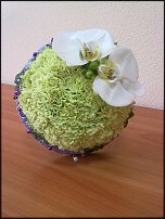 www.floristic.ru - .  .