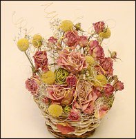 www.floristic.ru - .  