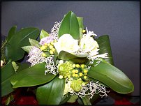 www.floristic.ru - .       - ?