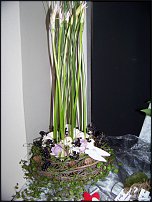 www.floristic.ru - .       - ?