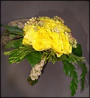 www.floristic.ru - .  .