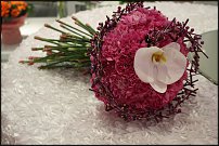 www.floristic.ru - .  .