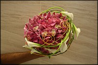 www.floristic.ru - .  .